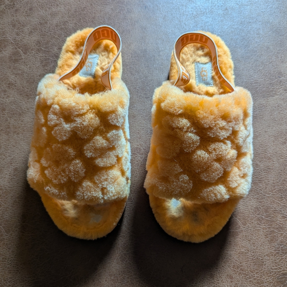 UGG Slippers